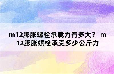 m12膨胀螺栓承载力有多大？ m12膨胀螺栓承受多少公斤力